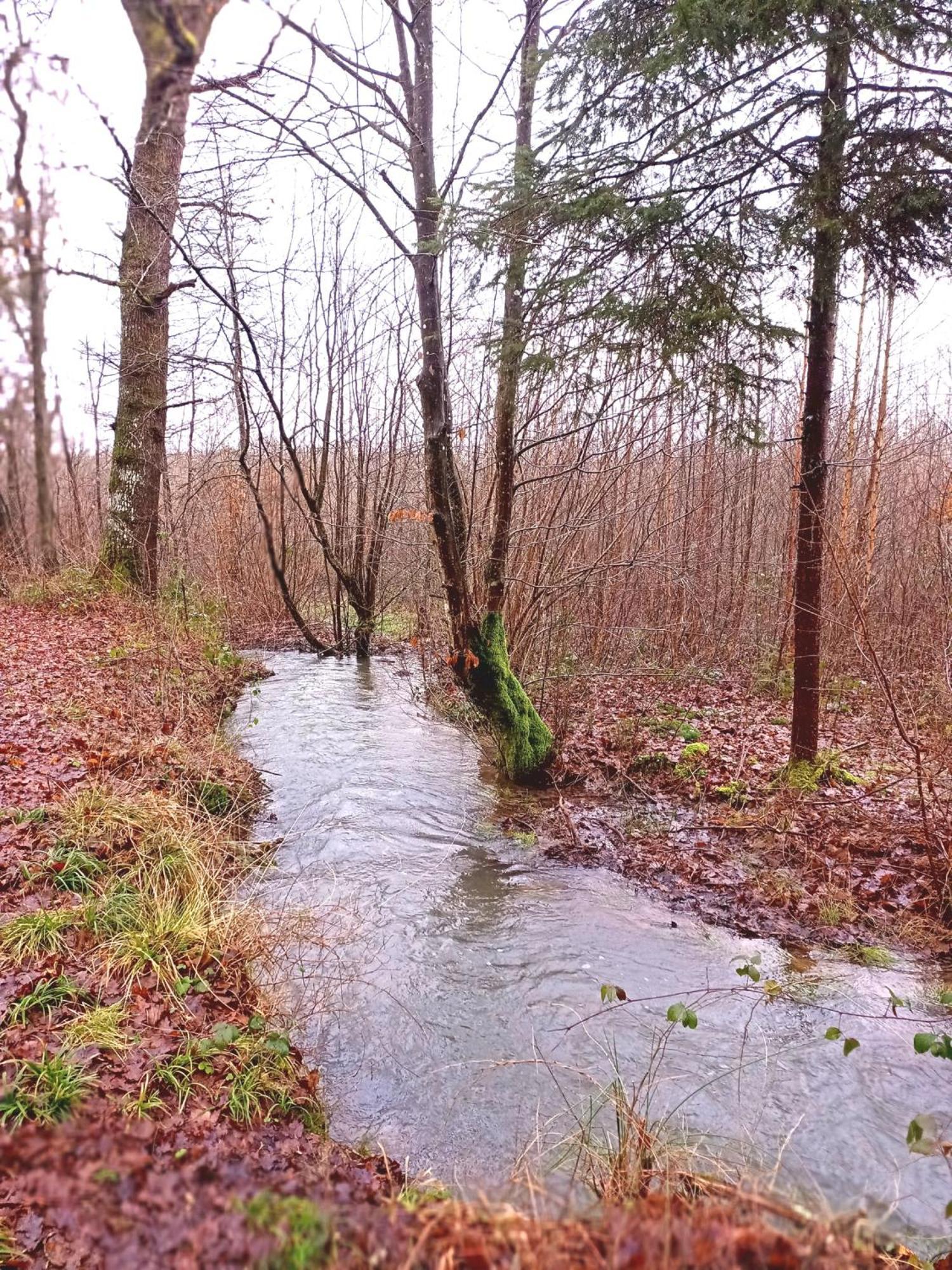 Le Clos Fleuri Sautin Extérieur photo